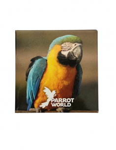 Magnet Parrot World 2