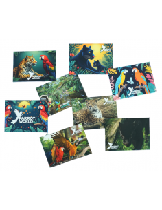 Magnet Parrot World