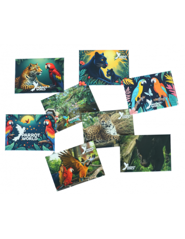 Magnet Parrot World