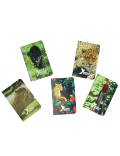 Carnet Parrot World