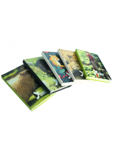 Carnet Parrot World 2