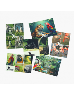 Carte postale Parrot World