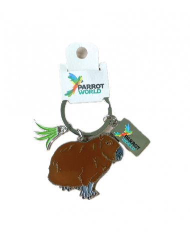 Porte clés Parrot World