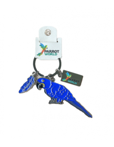 Porte clés Parrot World