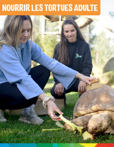 Bon cadeau Nourrir les Tortues - Adulte