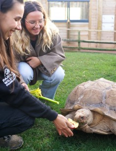 Bon cadeau Nourrir les... 2