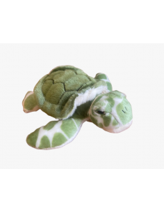 Bébé tortue