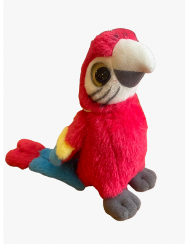 Bébé perroquet rouge