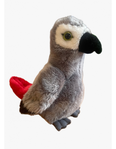 Bébé gris du Gabon 15cm