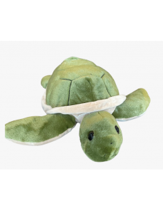 Tortue verte