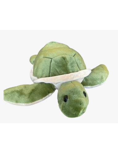 Tortue verte
