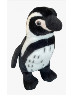 Bébé manchot de Humbolt