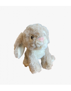 Bébé lapin