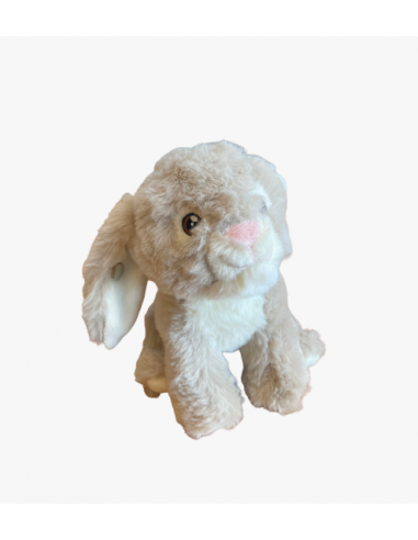 Bébé lapin