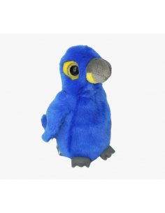 Glitter perroquet Bleu